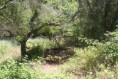 /album/queren%c3%a7a%20%26%20fonte%20benemola%20/activity-algarve-20-jpg2/